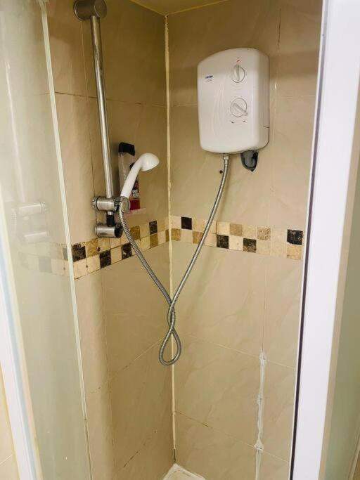 لندن Electric Green المظهر الخارجي الصورة